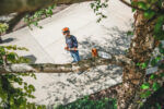 HT 135 – Bild 3